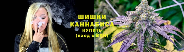 ешки Дмитриев