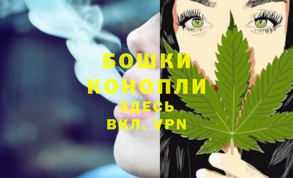 ешки Дмитриев