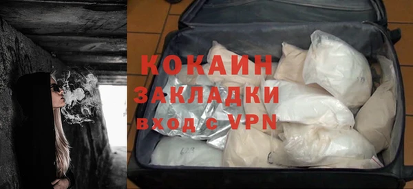 ешки Дмитриев