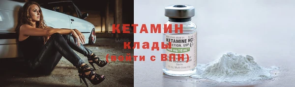 ешки Дмитриев
