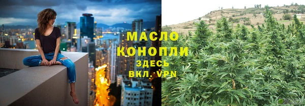 ешки Дмитриев