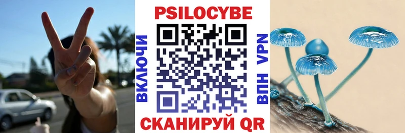 Купить закладки  Макаров  Галлюциногенные грибы GOLDEN TEACHER 